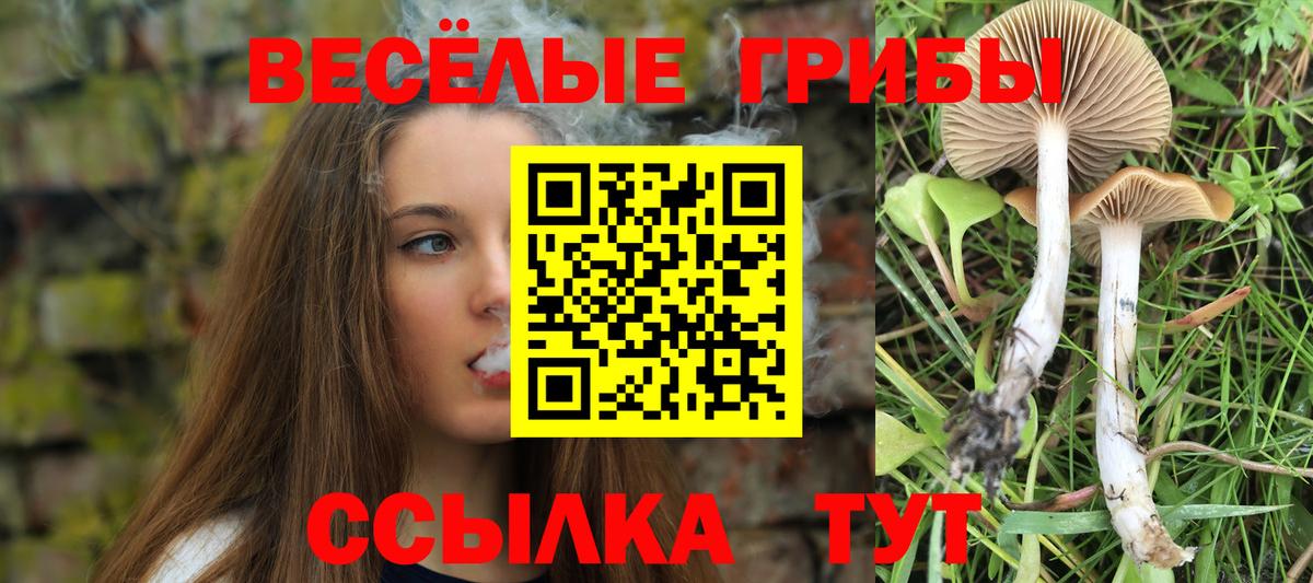 Галлюциногенные грибы ЛСД  Вход с VPN  Мурманск  сколько стоит  Галлюциногенные грибы мицелий 