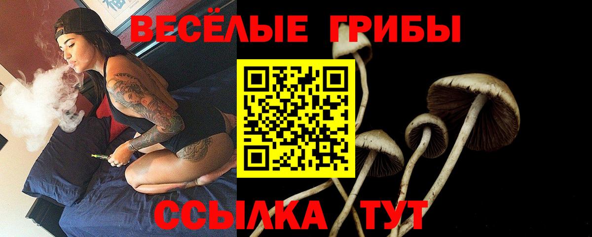 Галлюциногенные грибы ЛСД Мурманск